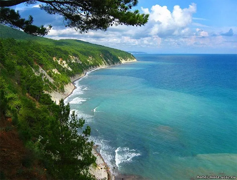 Что приготовить для заселения